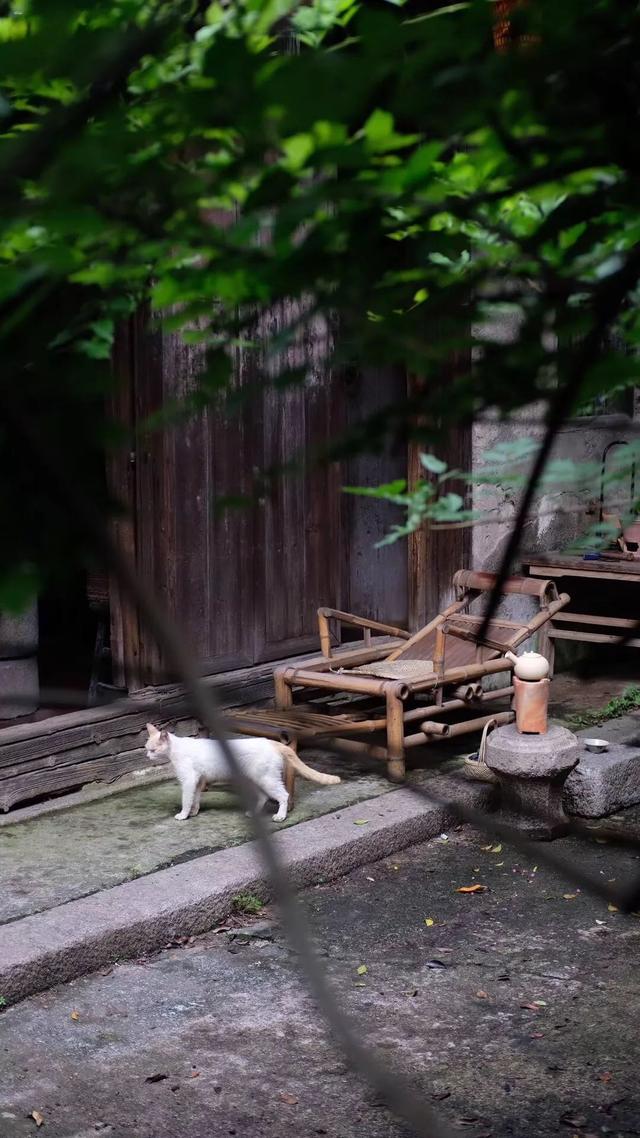 懂院子的人，一定懂生活