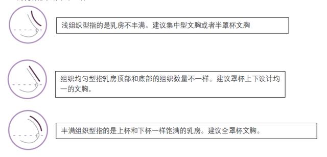 34c胸围是多少