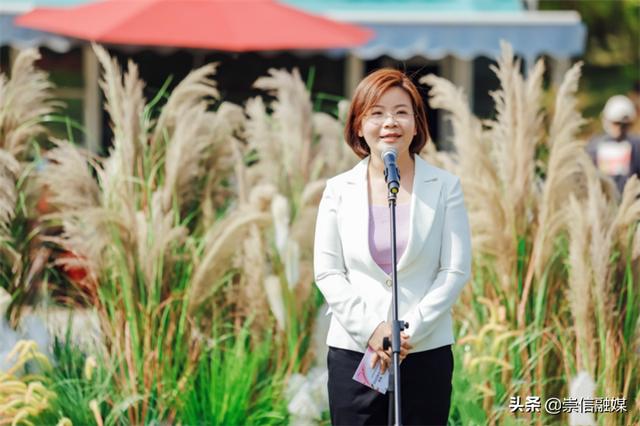 赏一片花海，读一本好书，这个“花园书房”太美妙了！