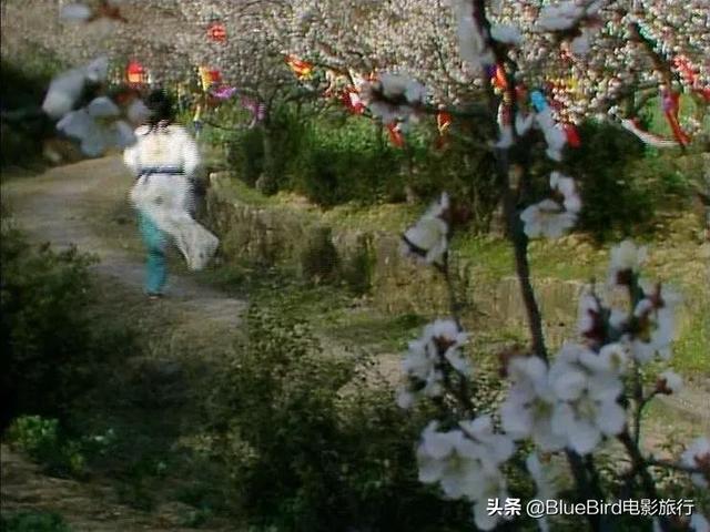 尋找西遊紅樓中的蘇州