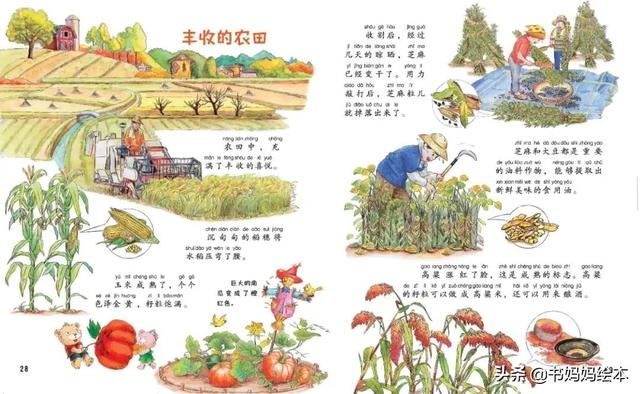 《中国幼儿百科全书》|引导孩子寻找答案、丰富科学知识的百科