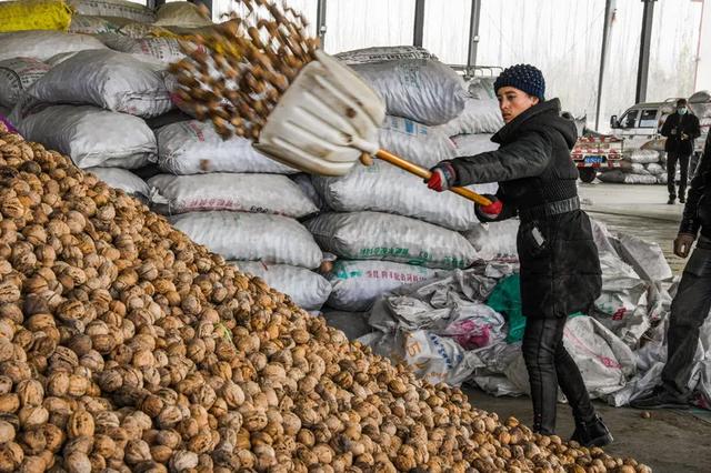 图赏 | 叶城:摄影促交流,图像展新貌