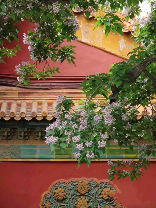 千万春花次第开