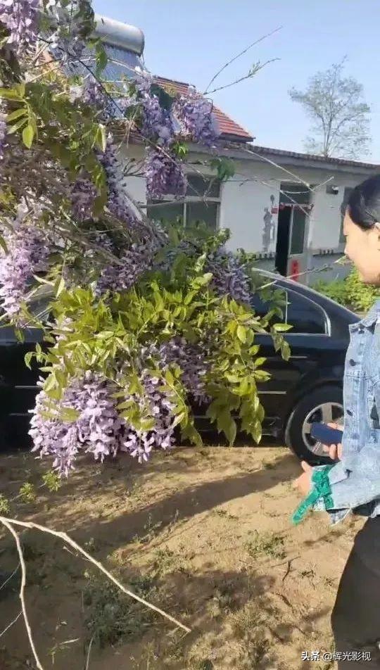 陈修光｜半程坎坷半程修行，感恩生活中的每一个感动