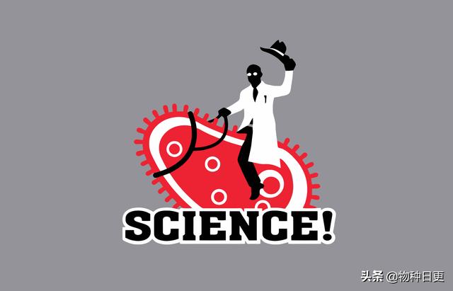 猩猩妈妈教孩儿功课的时候：复杂问题耐心宽容，简单问题也会烦躁