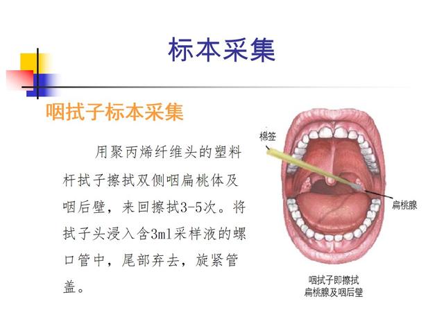 课件-新冠病毒核酸采样实践技能培训