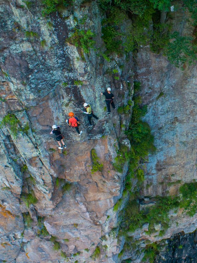 林间不止有山水,趁秋高气爽赶紧试试 宁波最美登山步道 - 云知网