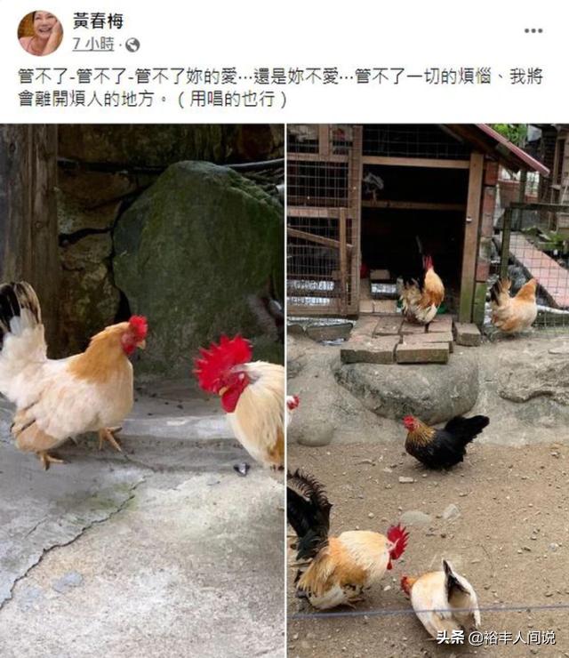 张兰说孙女汪希玥给自己视频点赞了