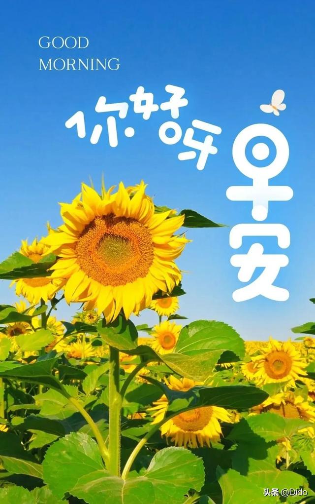 农历3月22日是什么日子(农历3月22日是什么节日)