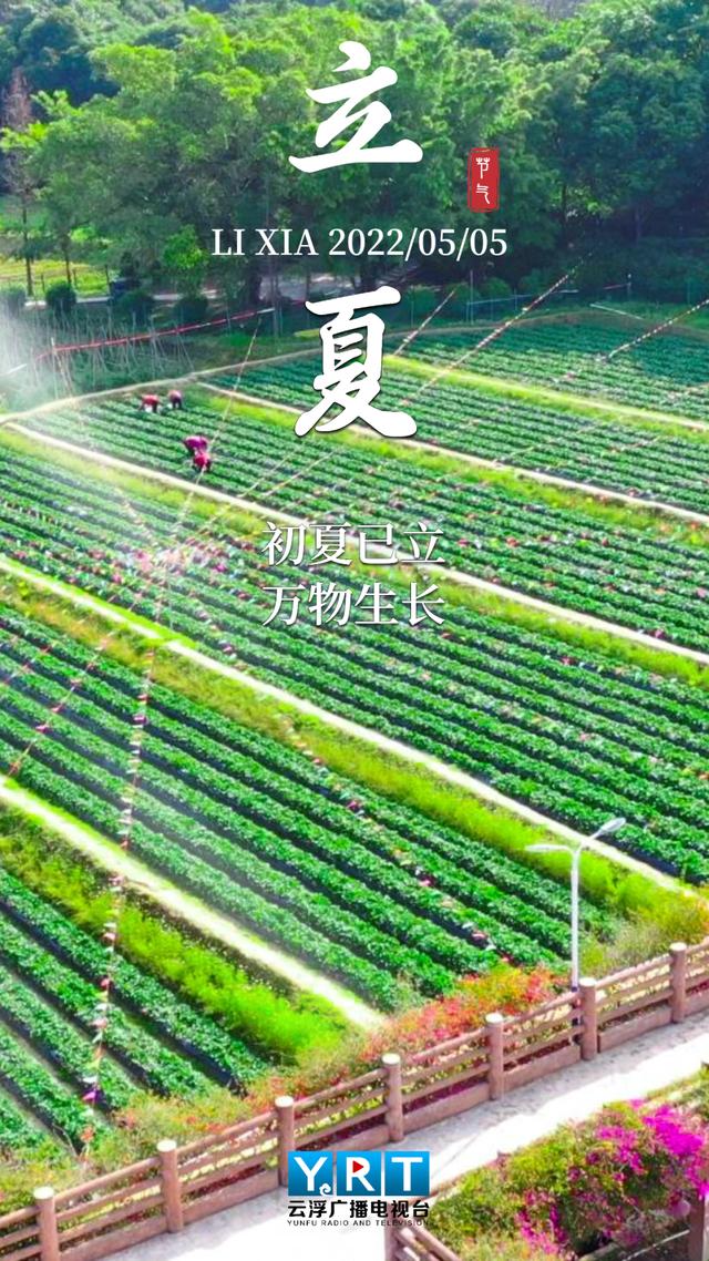 夏天，你好