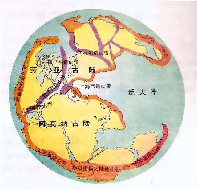 科学家警告：种种迹象已经表明，地球可能正进入第六次生物大灭绝
