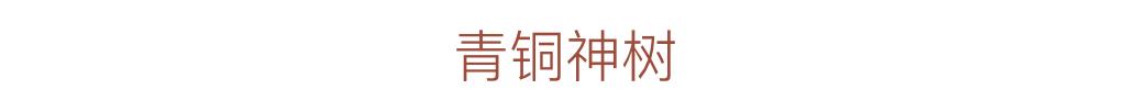 这195件中国最顶级的珍贵文物，都藏在哪里？