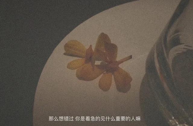 第一次读到便直击内心的句子