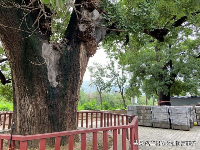 十三陵：大胃婆一個人的春餅宴