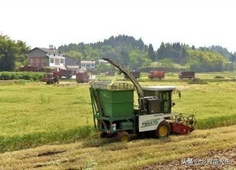 “青麦事件”为啥能引起巨大反响？根由：公众普遍担心粮食涨价