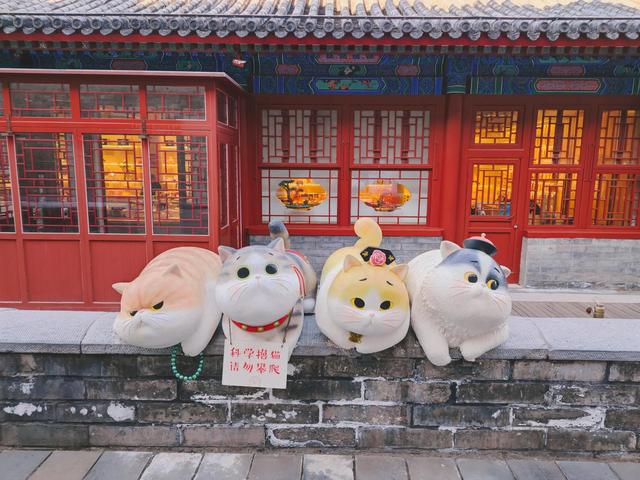 北京之故宮隨行，欣賞古建築的美輪美奂