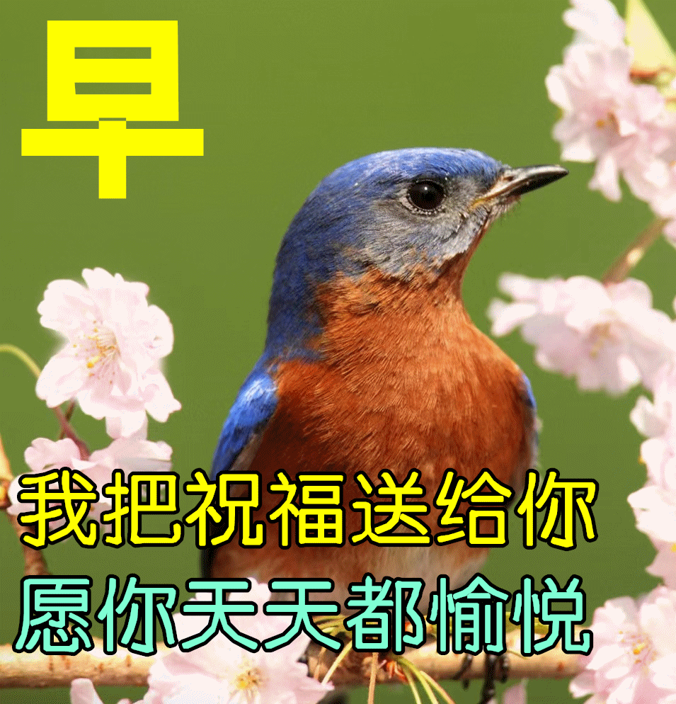 「2022.05.15」早安心语，正能量经典唯美语句，经典励志早安图文