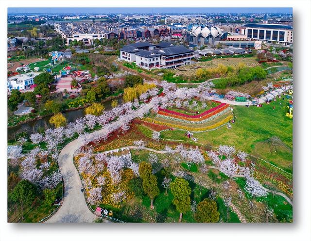 兩天一夜團建