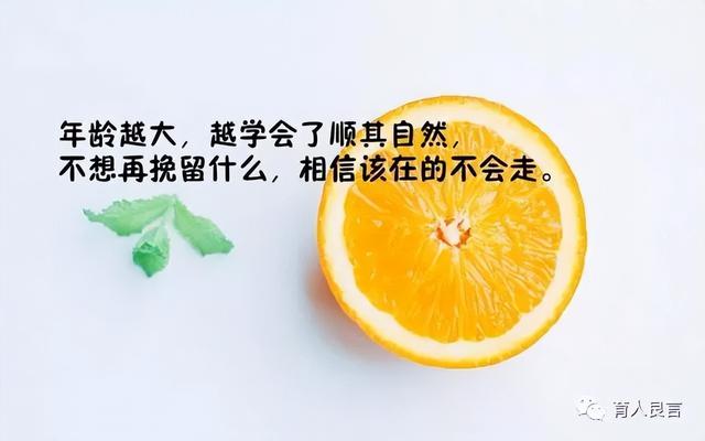 感悟人生的经典哲理句子，有深度有内涵，直击心灵