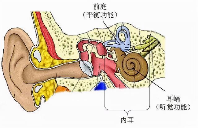 孩子容易跌倒？这些游戏可以训练孩子的平衡能力