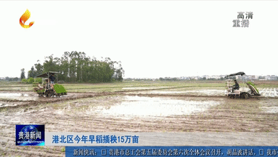 港北区今年早稻插秧15万亩