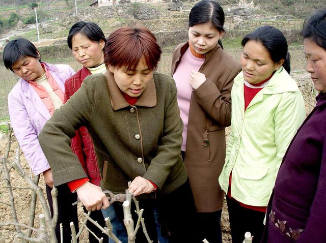这样最容易养出“废人”，大衣哥的教育模式，如今很多父母仍在做