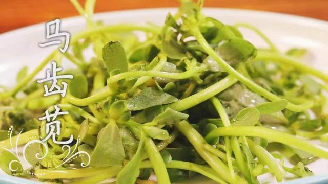 鲜嫩时是菜，晒干后能入药！这些好处多多的野菜可别错过