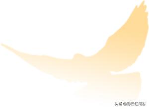 青年节是什么意思