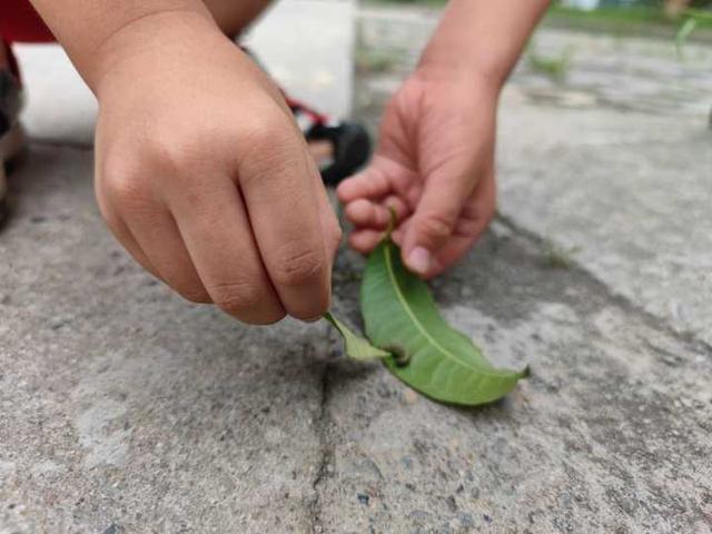 教你花式提问技巧，帮助幼儿园小朋友理解“什么是爱？”