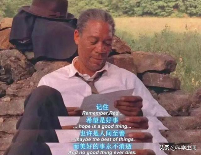 毛骨悚然的25号宇宙实验：在人造天堂里，鼠群560天后走向灭亡