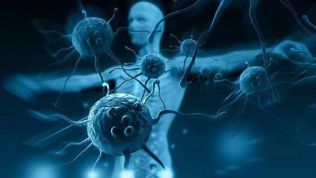 断食3天可以重启人体免疫系统？美国研究公布结论，越早知道越好