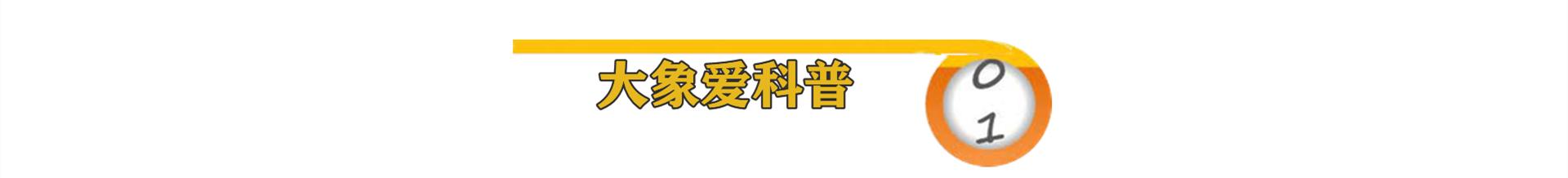 市场份额下跌近20%，滴滴预计裁员20%，被裁或领不到去年年终奖