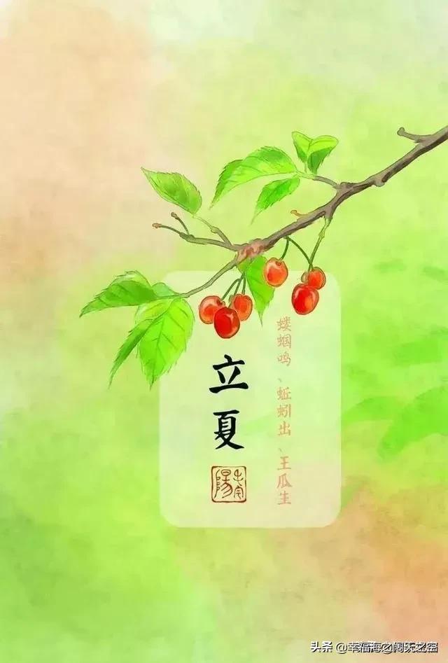 云卷云舒，草长莺飞，又是暮春将立夏，自来自去燕入堂