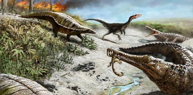 地球曾经历五次生物大灭绝，现在人类科技发达，能避免第六次吗？