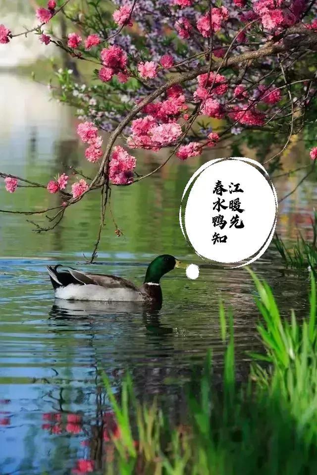 春雨靡靡打心扉