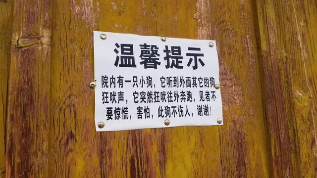神奇的塔爾寺