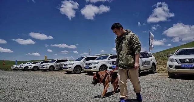 搜救犬有多厉害？为什么要让它参与东航MU5735搜救工作呢？