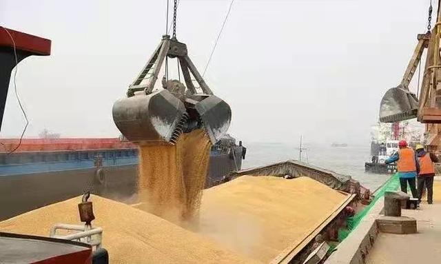 撑不住了！2月27日玉米、小麦“暴力拉升”，2022年粮价势不可挡