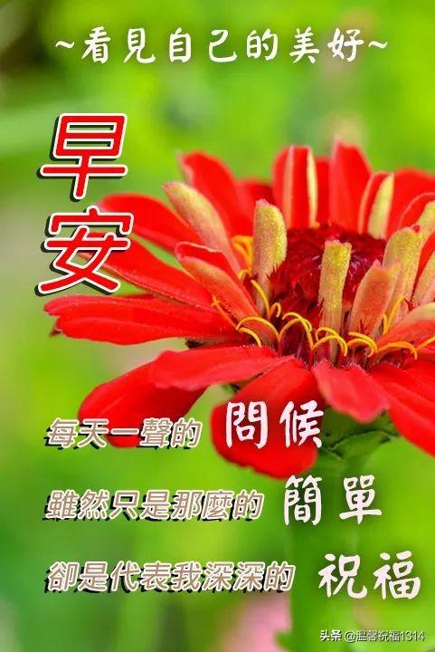 5月16日 每日祝福