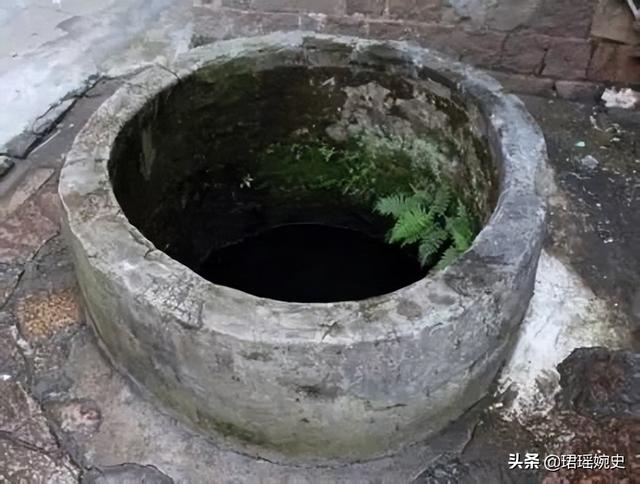 1987年，一河南农户院子被大雨冲塌，出现一口枯井下面埋着位皇帝