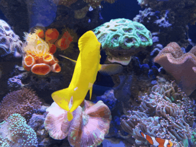 马里亚纳海沟1万米深处的水还是液态的吗？这一海沟有多奇妙？