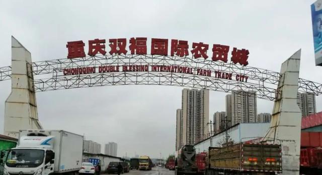 水果大型批发市场系列——重庆双福国际农贸城