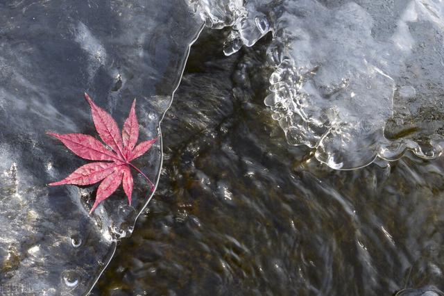 过敏性鼻炎？2个经方作加减，不再鼻塞鼻痒，就连晕机晕车也好了