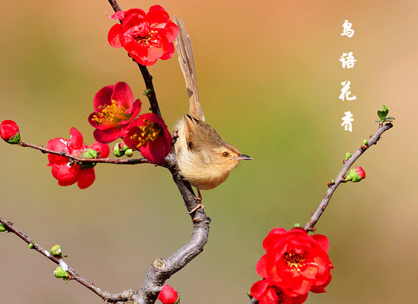 今天是个好日子，春分