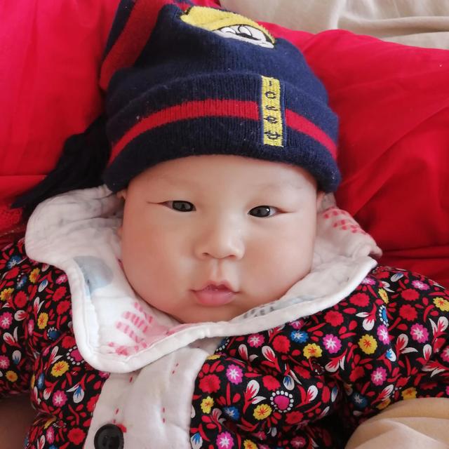 送走，送走，送河南去，呆喂傻吃的，早晚喂成傻子