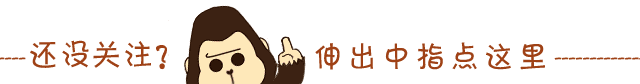 EDG冠军皮肤高清原画公布，猫咪表情来源于Meiko本人？