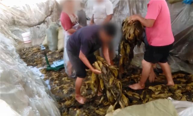 315老坛酸菜事件，一代人的童年幻想破灭了