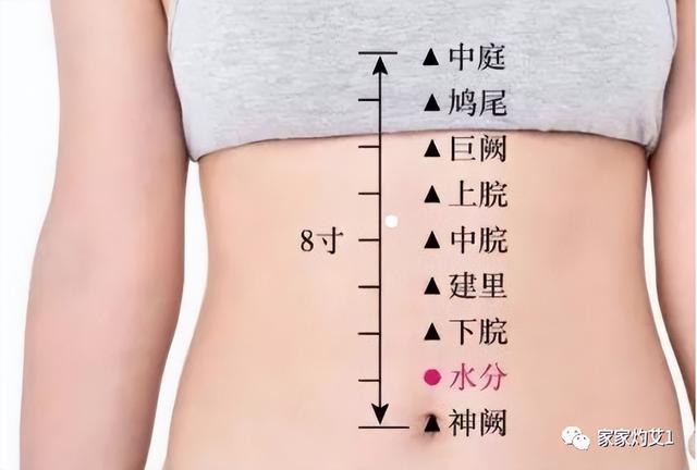 二十四节气灸｜清明艾灸，除湿气，发阳气，调达肝胆，强健脾胃