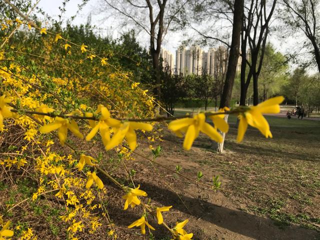 闲煮光阴慢品茶 从容不迫度年华