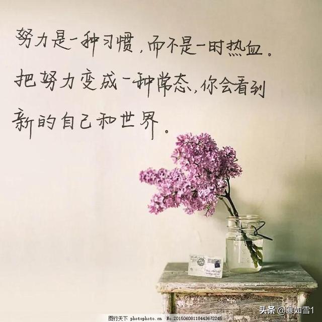 靠抄书逆袭的第23天：努力不是重点，努力常态化才是